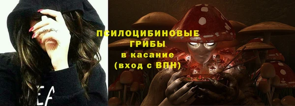 гидропоника Арсеньев