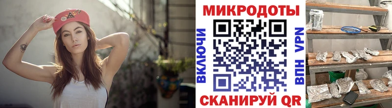 Псилоцибиновые грибы Psilocybe  Полевской 